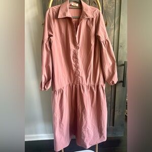 Anthropologie Pink Button-Down Dress